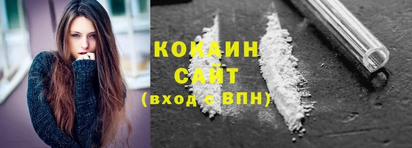 ешки Новодвинск