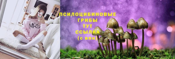 ALPHA PVP Абаза