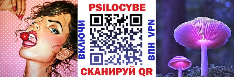 Псилоцибиновые грибы Psilocybe  купить  цена  кракен зеркало  Нахабино 